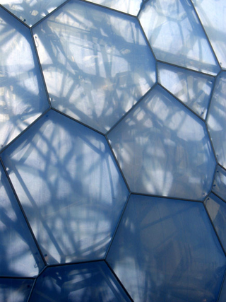 Illustration for article titled China Water Cube Almost Done, Probably with Help from Mon Calamari